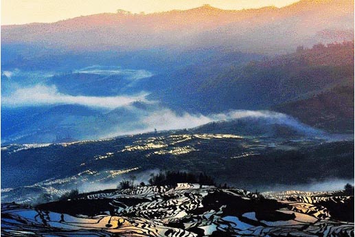 公司實(shí)力強大，多年行業(yè)經(jīng)驗